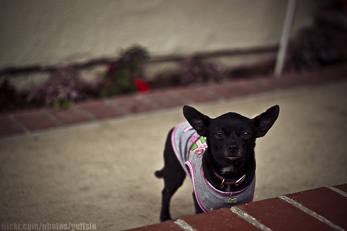 4479899417_b0074b4282