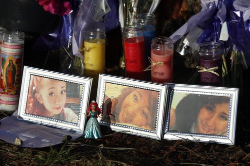 ce ce la0009795129-20130529