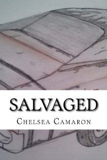 salvaged 17733042