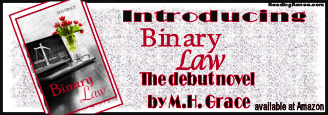 Binary Law banner 2