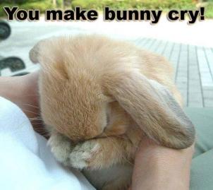 you-make-emotional-support-bunny-cry-b