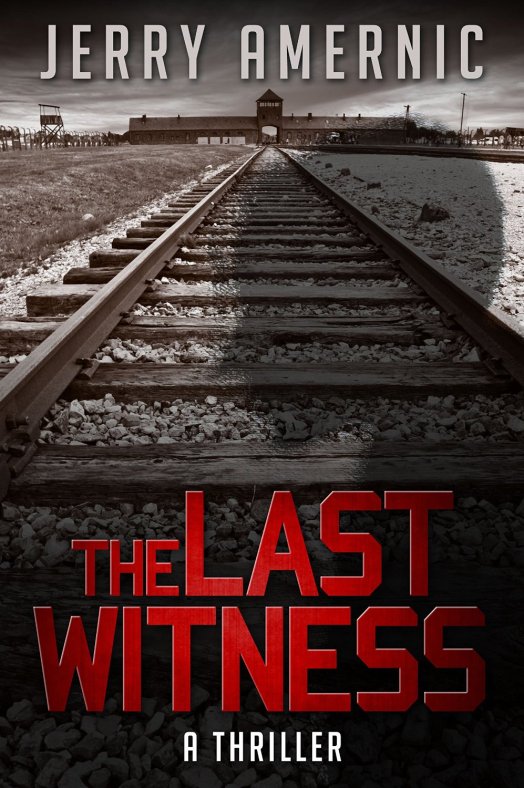 the last witness 91-q301uvZL._SL1500_