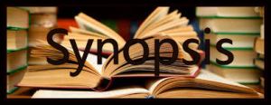 synopsis book stacks (2)