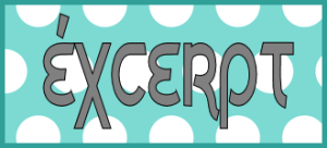 excerpt-17