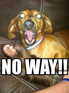 no-way-788c417fe61fb6dbf0736b7e0c48b8e6-no-way